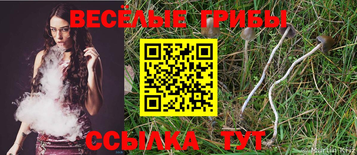 Избербаш  Псилоцибиновые грибы GOLDEN TEACHER  Вход с VPN 