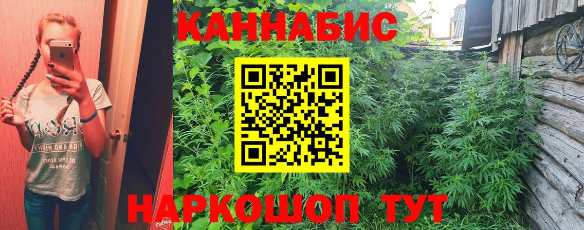 Бошки Шишки семена Избербаш